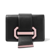 Prada Ribbon Plexi Pink Bag